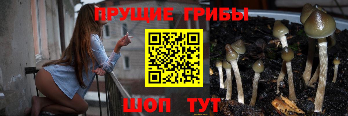 Нефтеюганск  Псилоцибиновые грибы Cubensis  наркошоп  Вход с VPN 